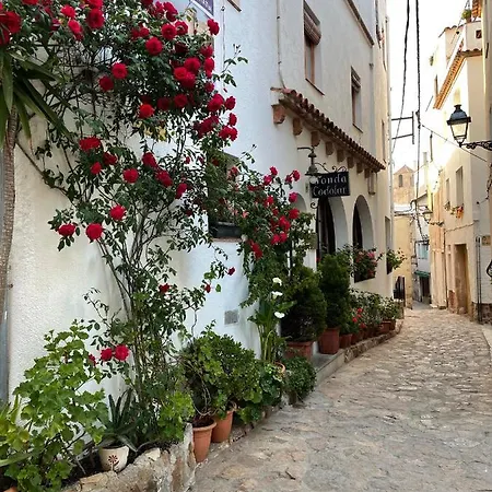 Guest house P&r Hostals Codolar *