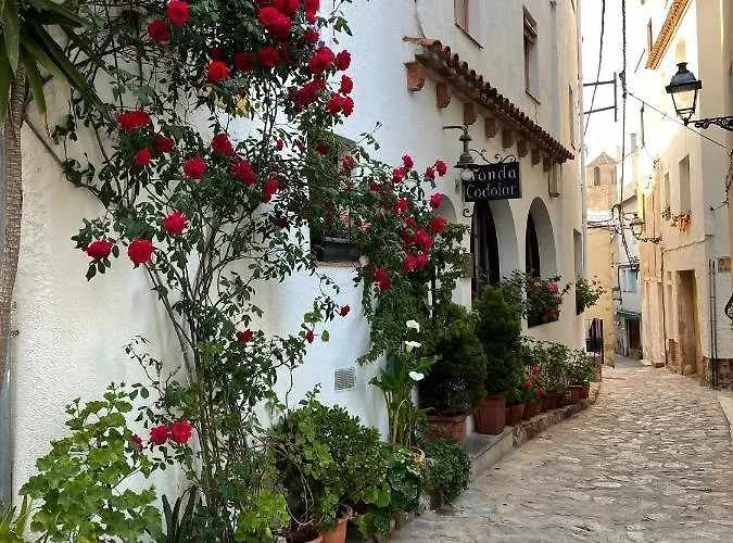 Pensjonat P&r Hostals Codolar 3*